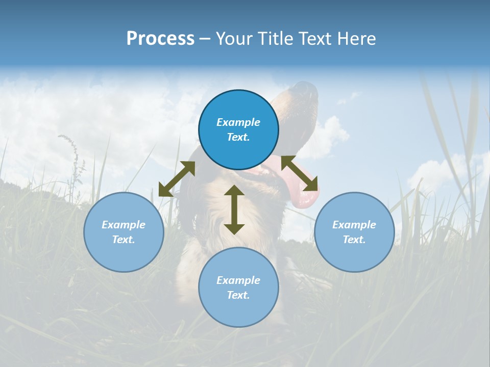 Lying View Field PowerPoint Template