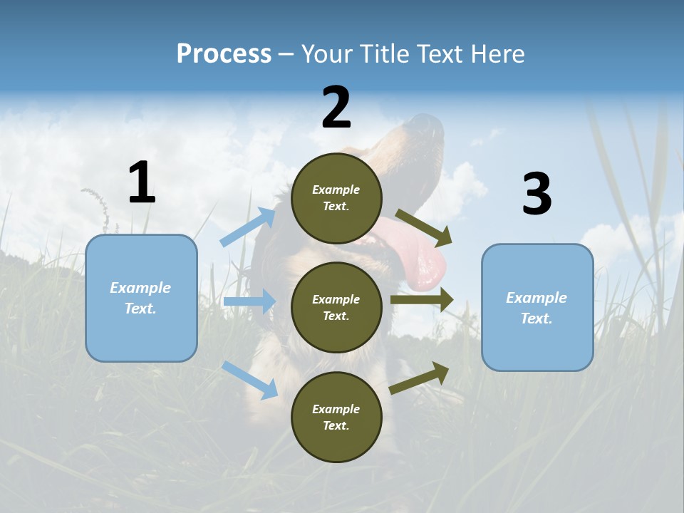 Lying View Field PowerPoint Template