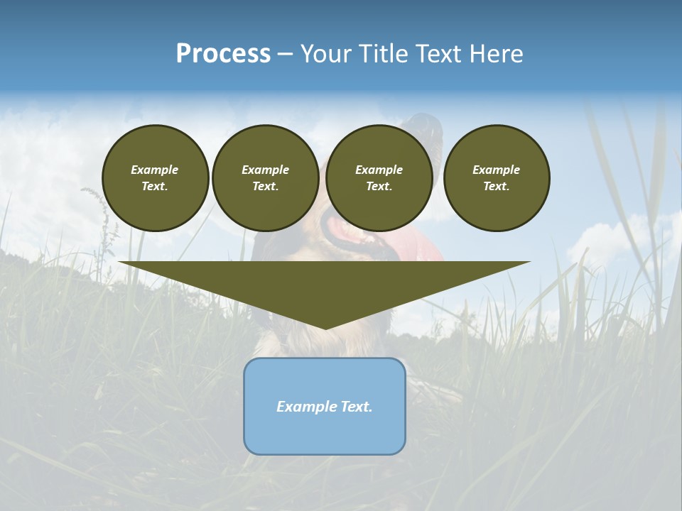 Lying View Field PowerPoint Template