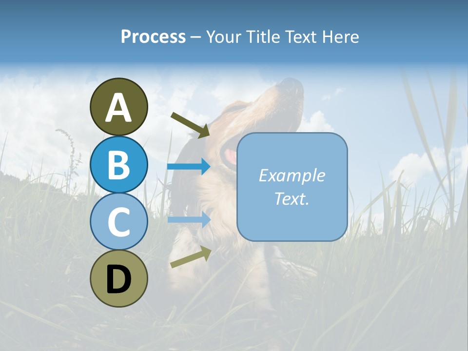 Lying View Field PowerPoint Template