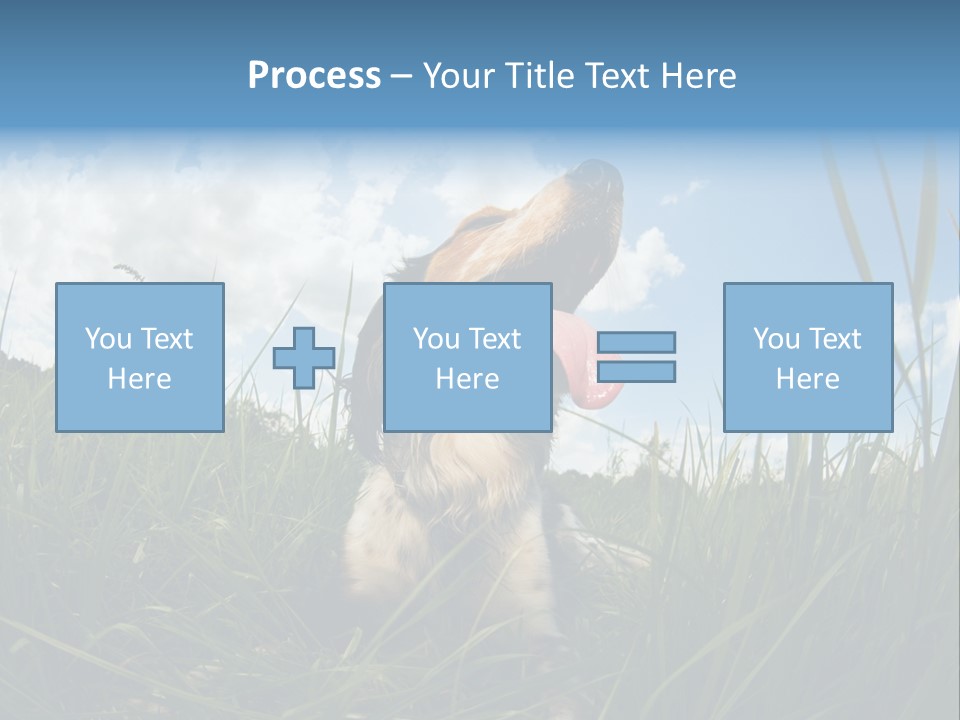 Lying View Field PowerPoint Template