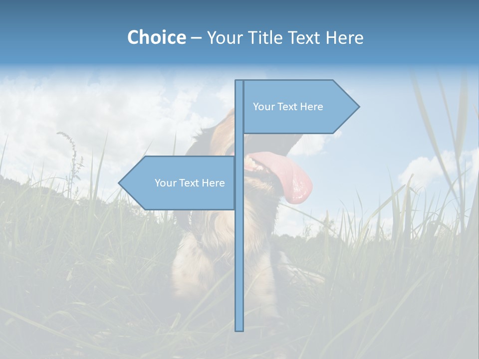 Lying View Field PowerPoint Template