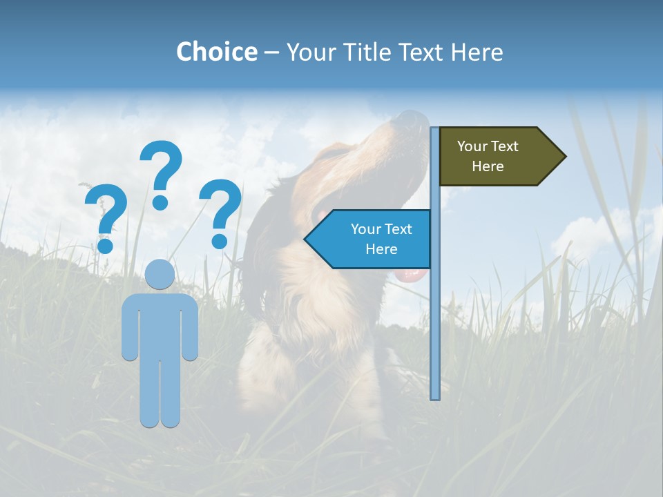 Lying View Field PowerPoint Template