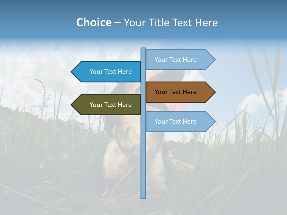 Lying View Field PowerPoint Template