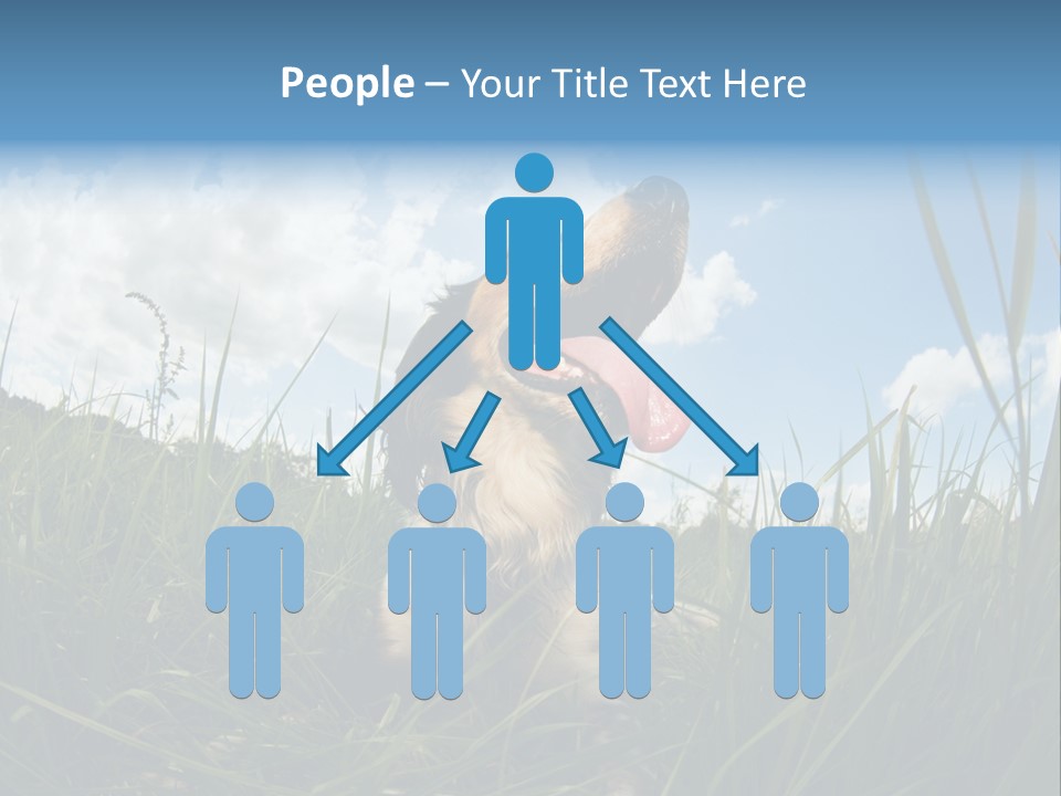 Lying View Field PowerPoint Template