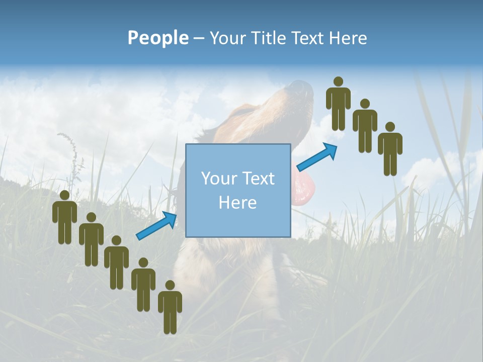 Lying View Field PowerPoint Template
