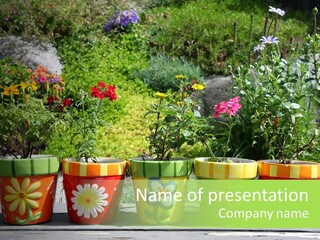 Daisy Outside Spring PowerPoint Template