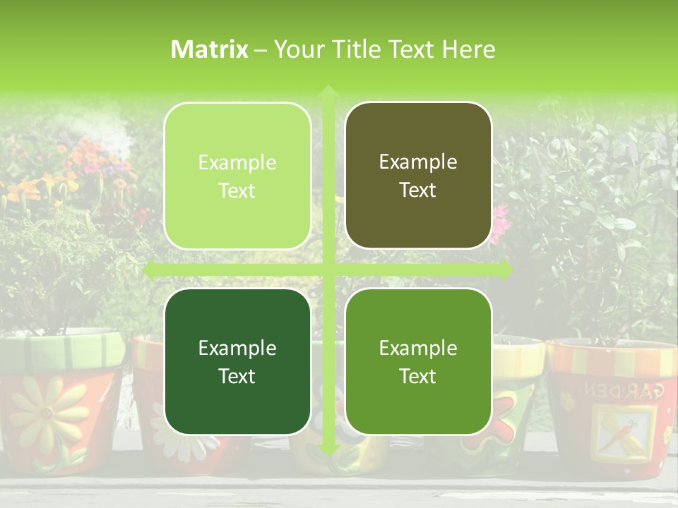 Daisy Outside Spring PowerPoint Template