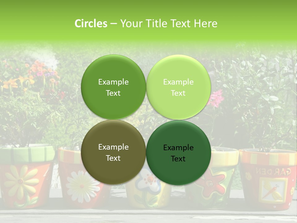 Daisy Outside Spring PowerPoint Template