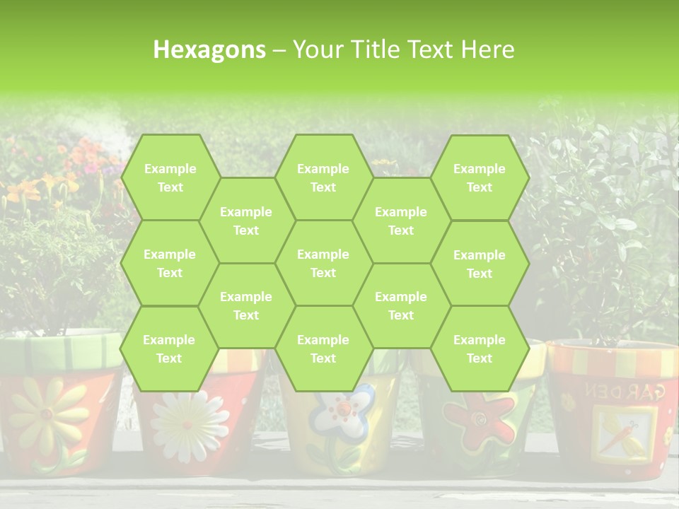 Daisy Outside Spring PowerPoint Template