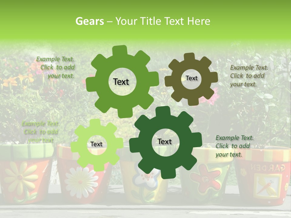 Daisy Outside Spring PowerPoint Template