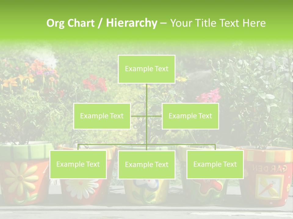 Daisy Outside Spring PowerPoint Template