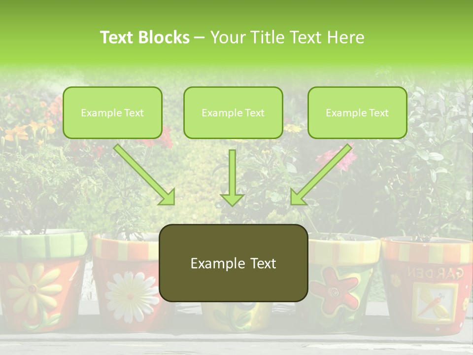 Daisy Outside Spring PowerPoint Template
