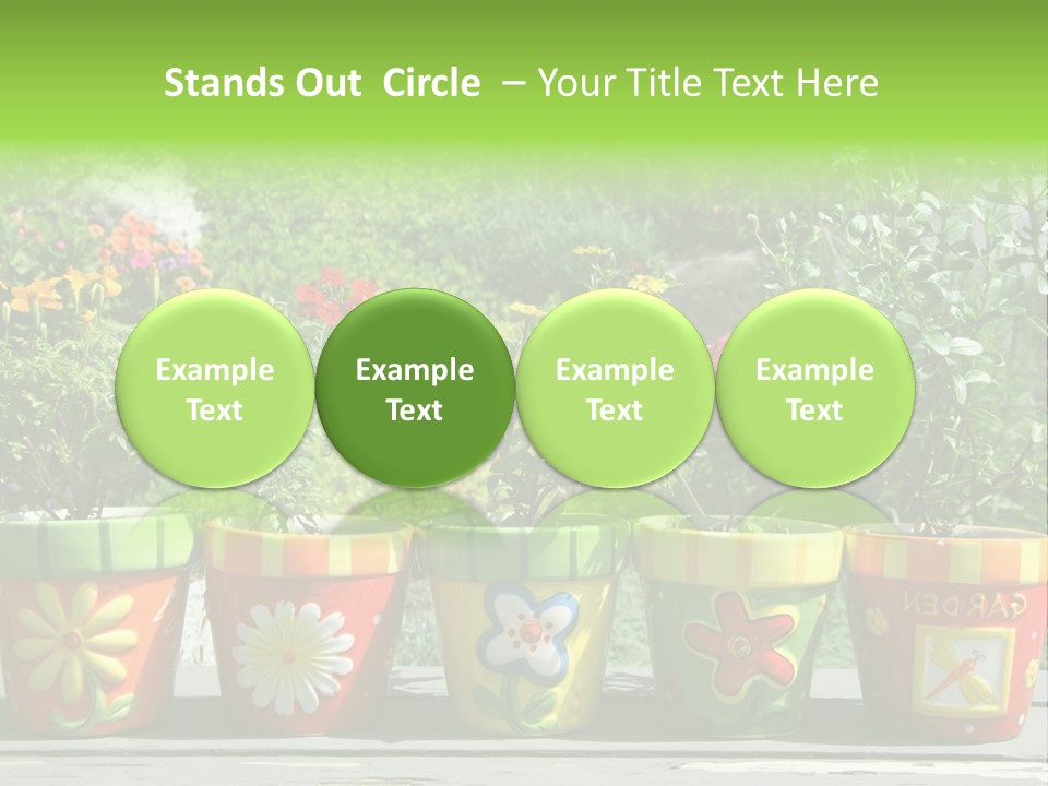 Daisy Outside Spring PowerPoint Template