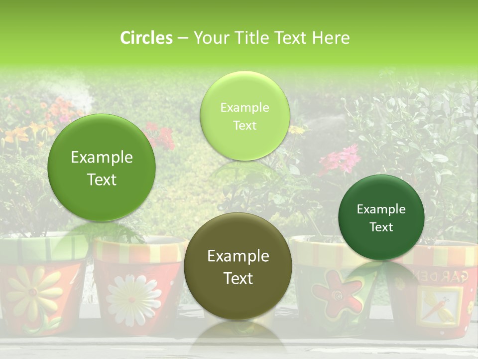 Daisy Outside Spring PowerPoint Template