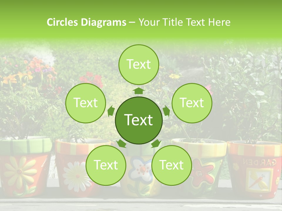 Daisy Outside Spring PowerPoint Template