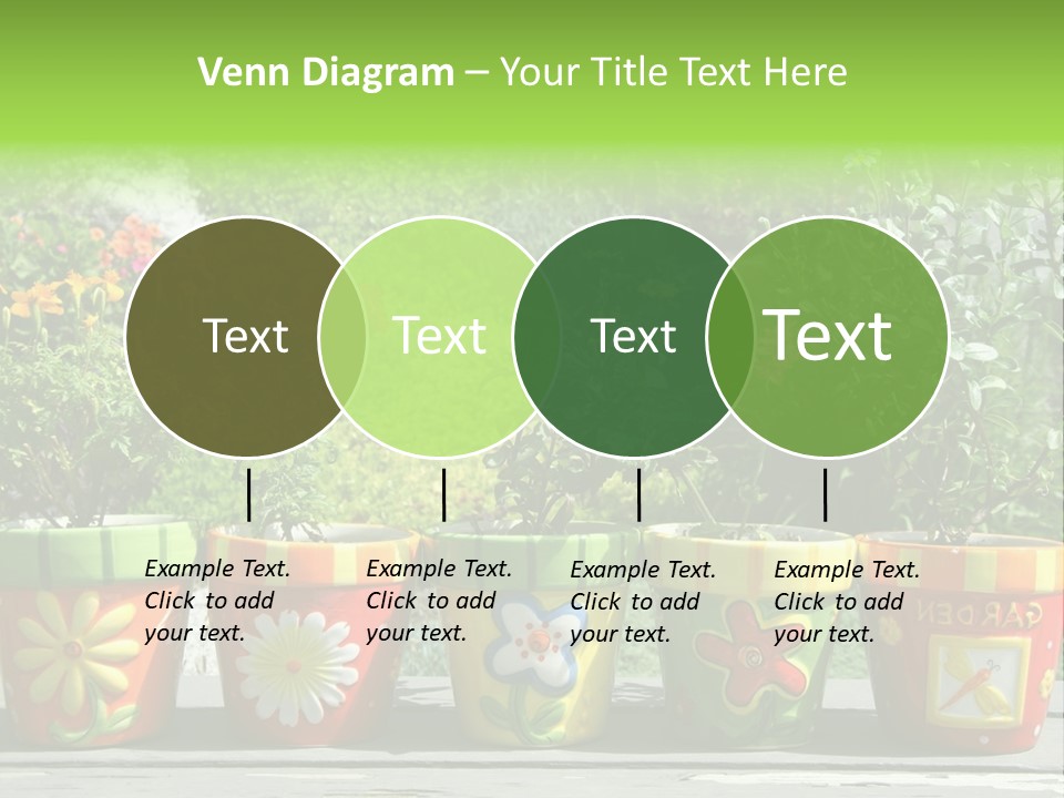 Daisy Outside Spring PowerPoint Template