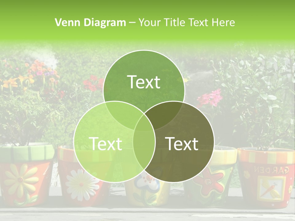 Daisy Outside Spring PowerPoint Template