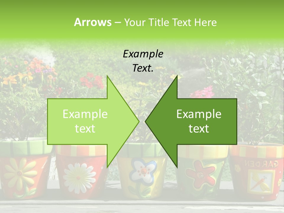 Daisy Outside Spring PowerPoint Template