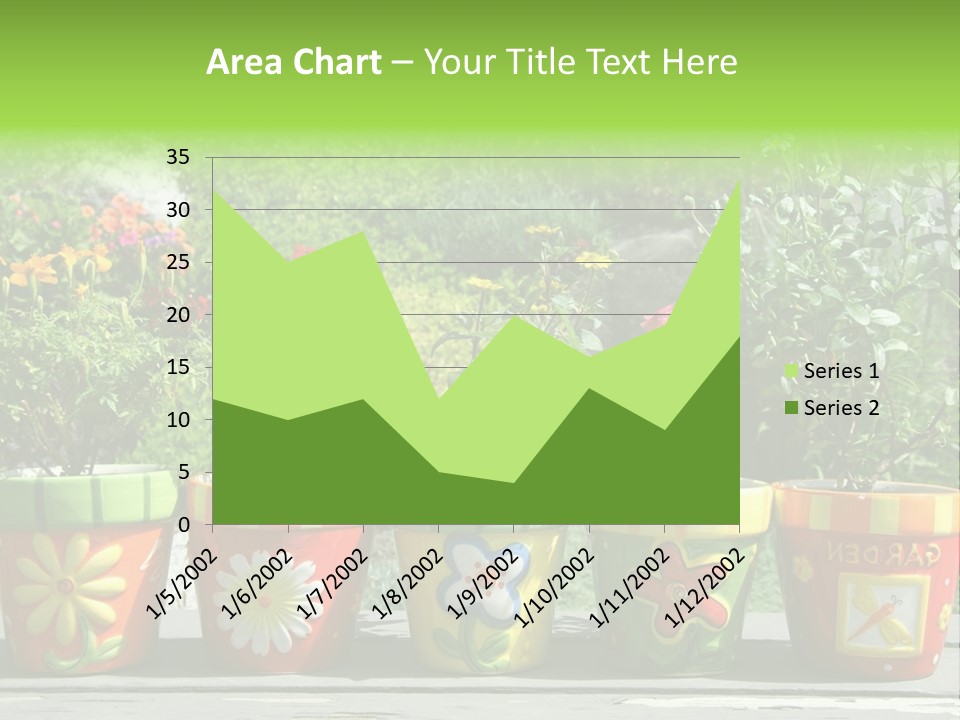 Daisy Outside Spring PowerPoint Template