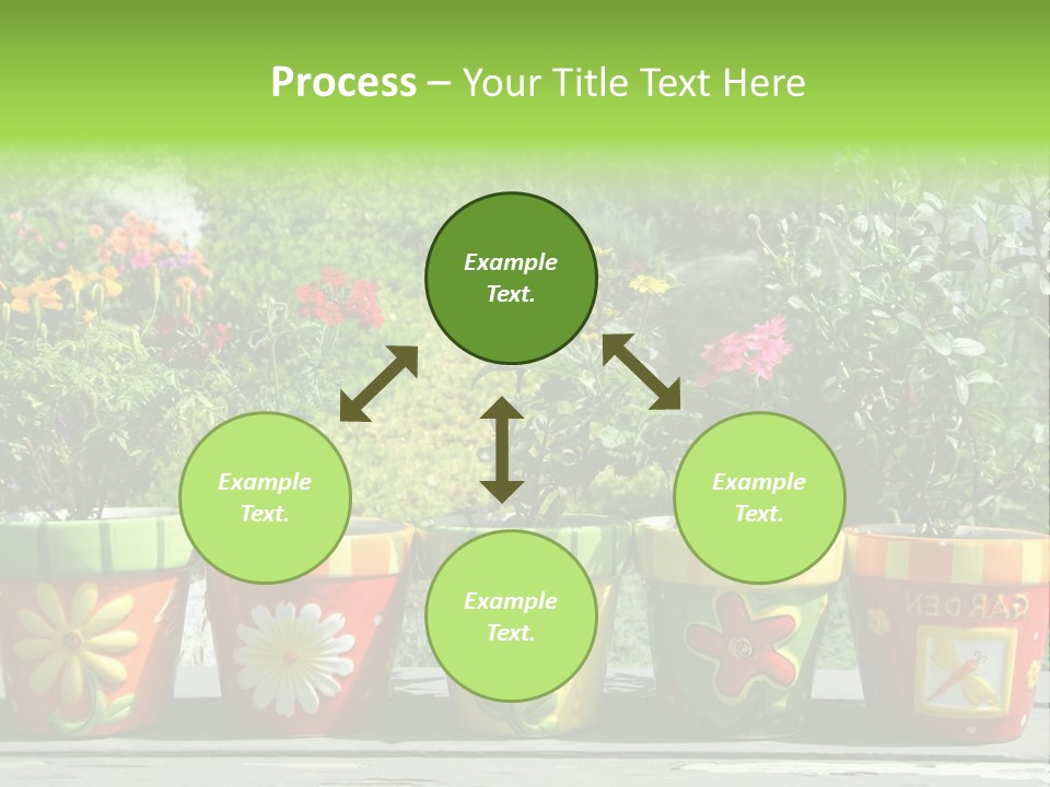 Daisy Outside Spring PowerPoint Template