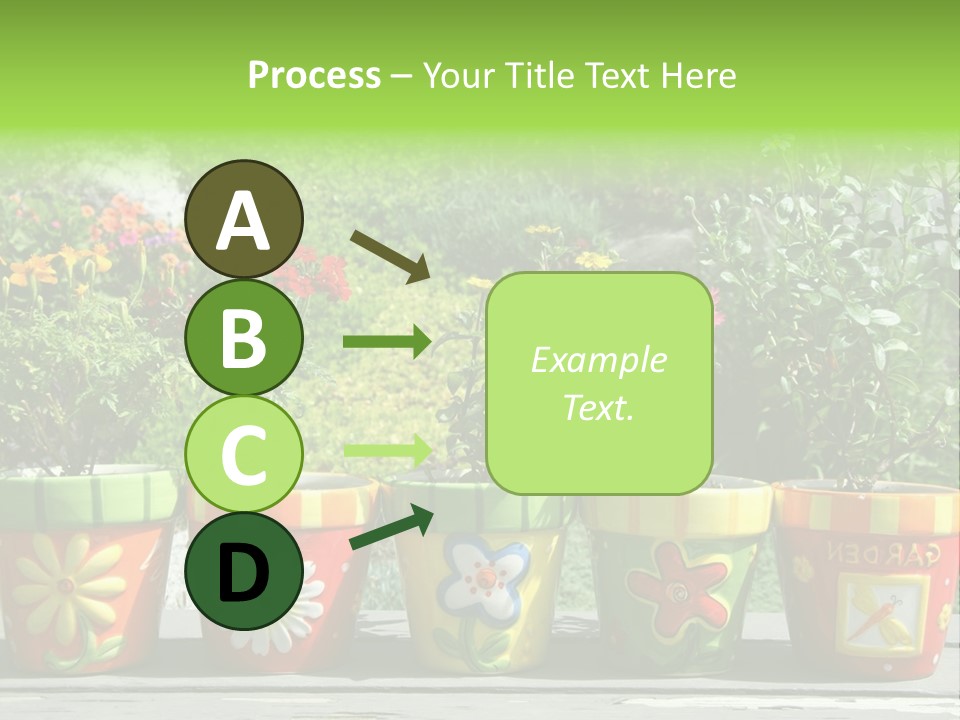 Daisy Outside Spring PowerPoint Template