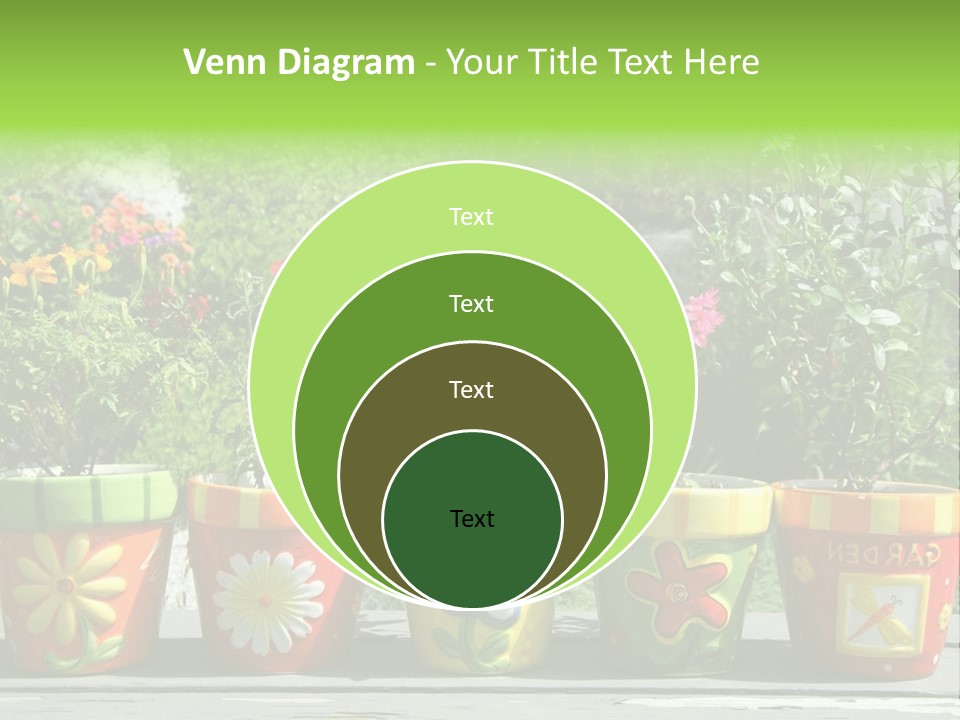 Daisy Outside Spring PowerPoint Template