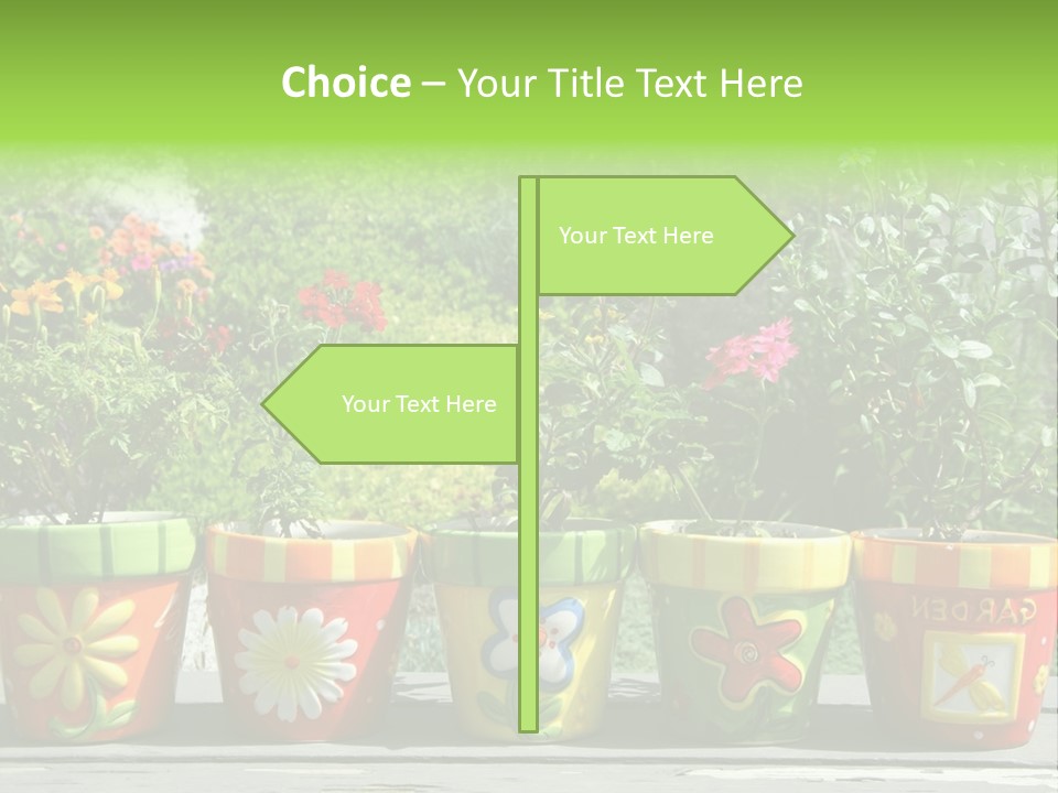 Daisy Outside Spring PowerPoint Template