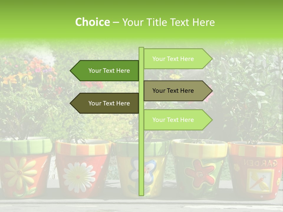 Daisy Outside Spring PowerPoint Template