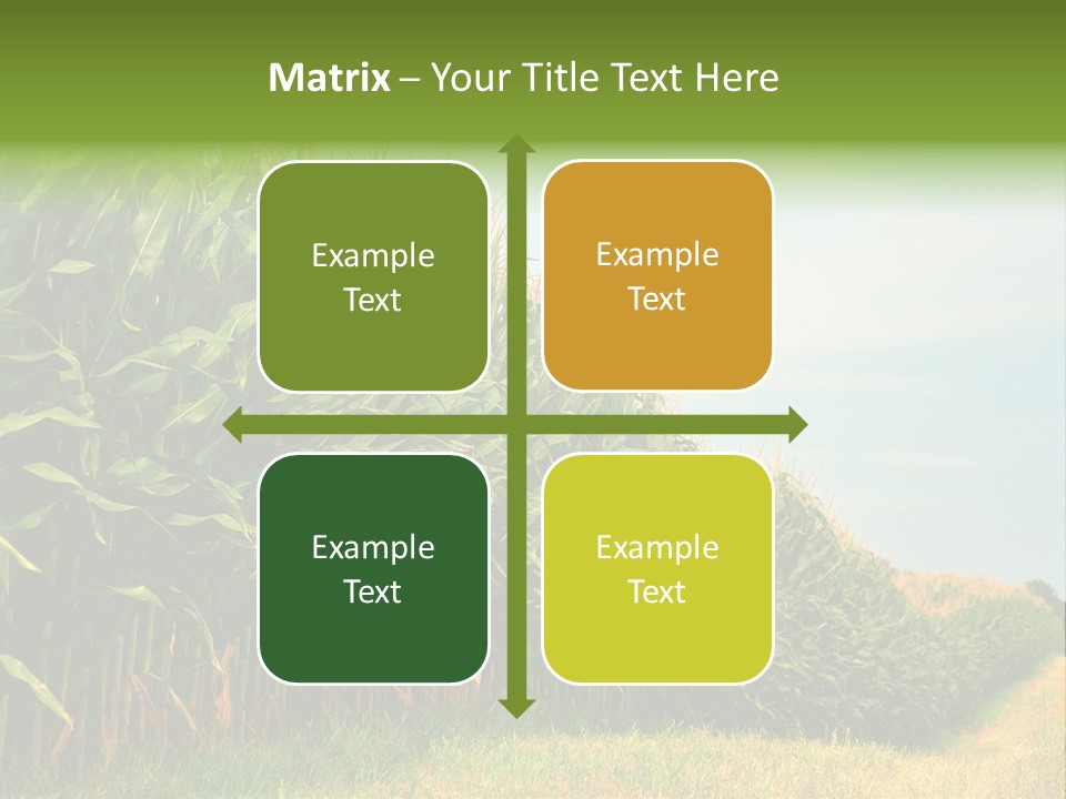 Blue Field White PowerPoint Template