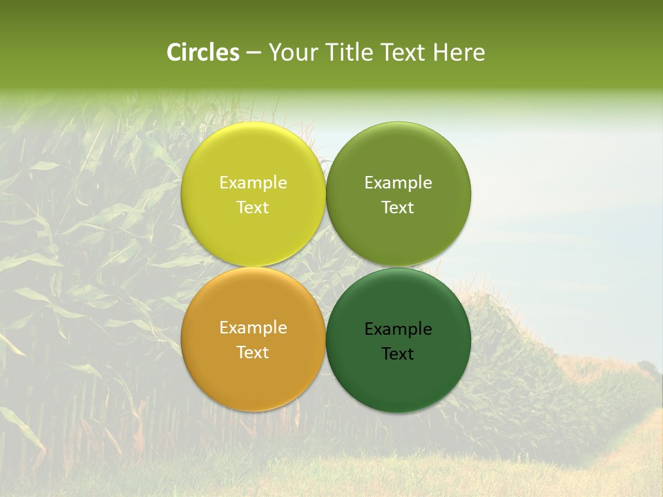 Blue Field White PowerPoint Template