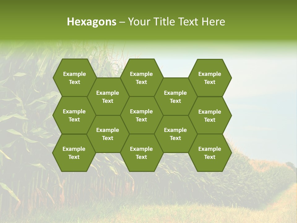 Blue Field White PowerPoint Template