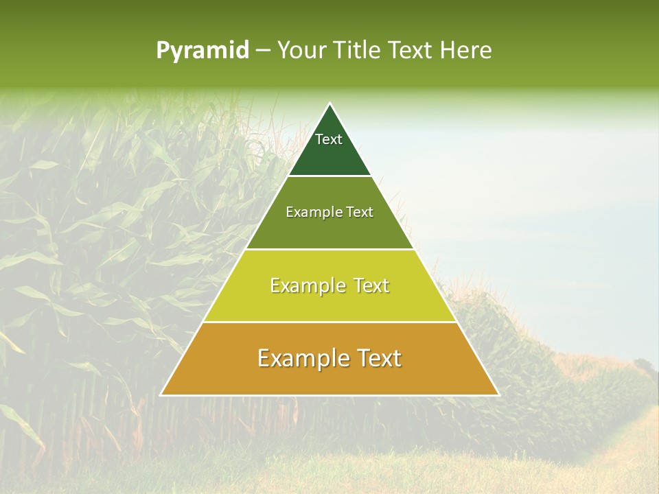 Blue Field White PowerPoint Template