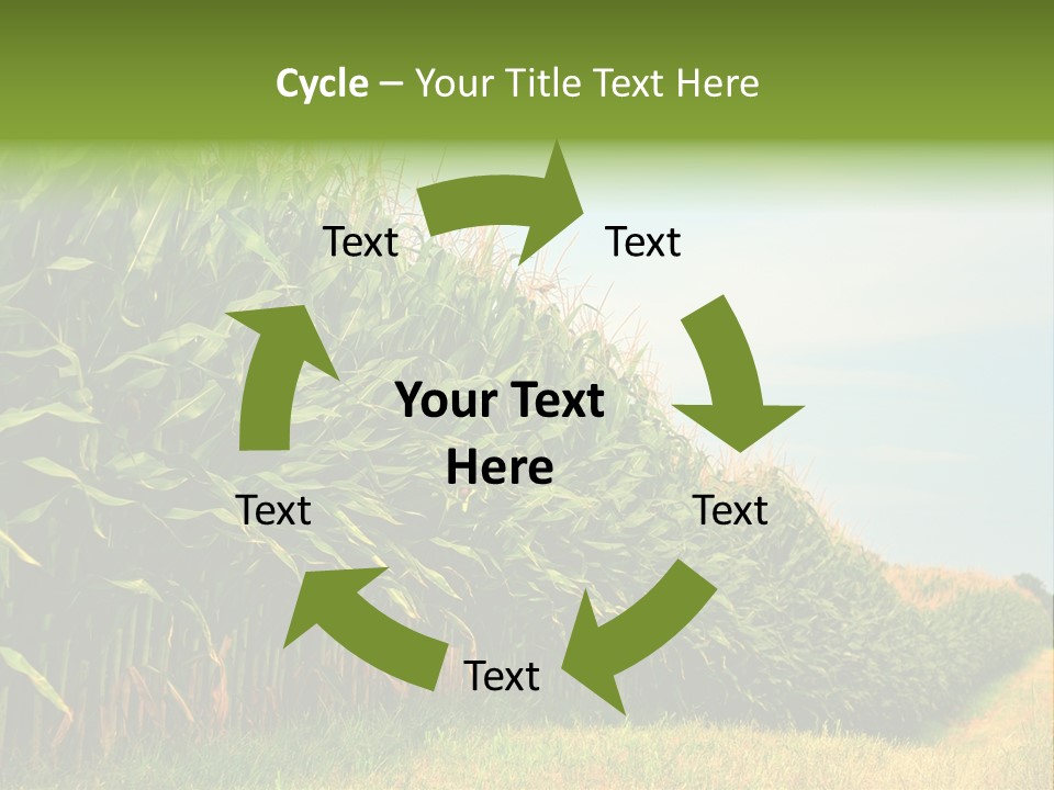 Blue Field White PowerPoint Template