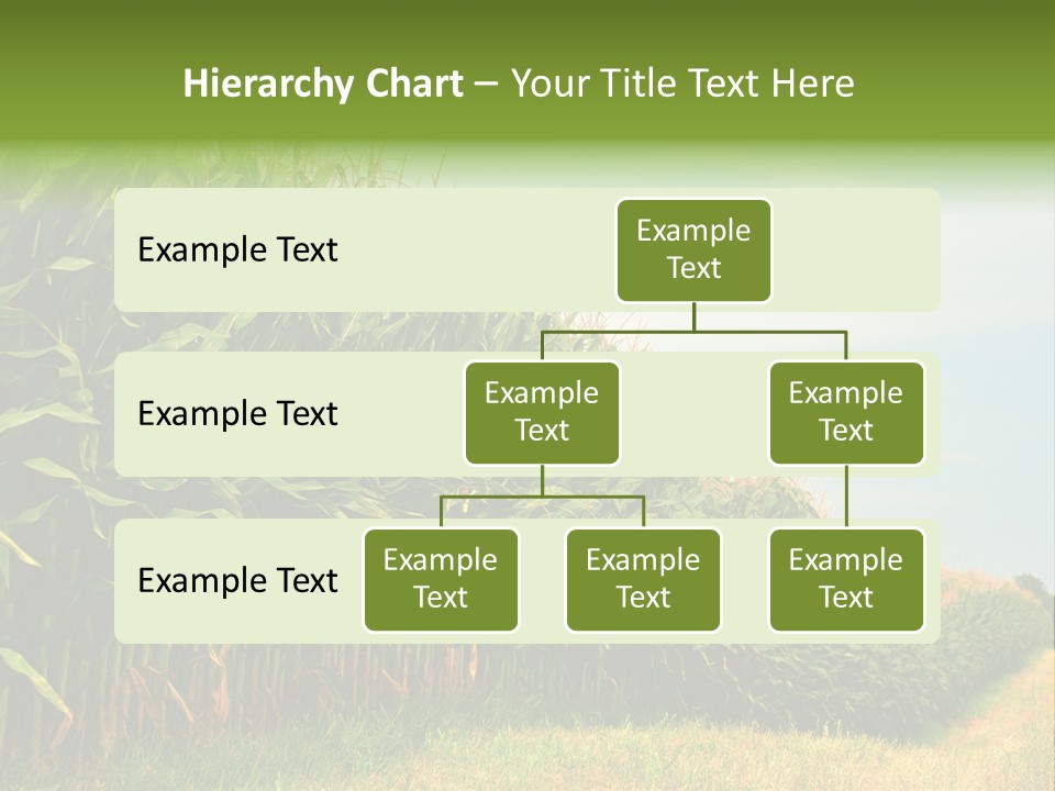 Blue Field White PowerPoint Template