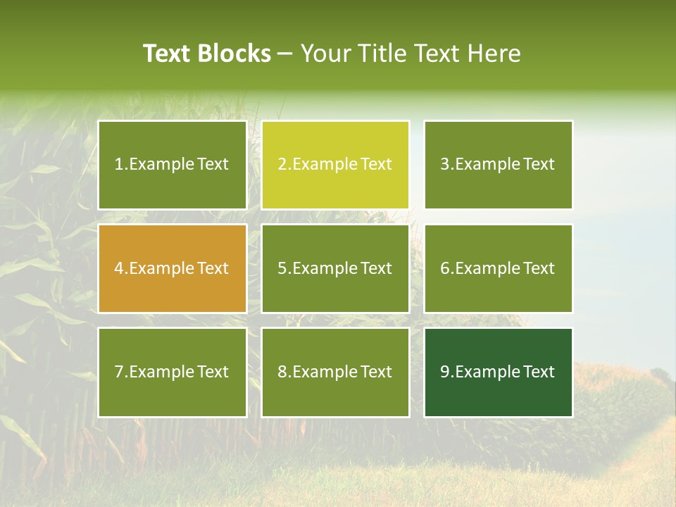 Blue Field White PowerPoint Template