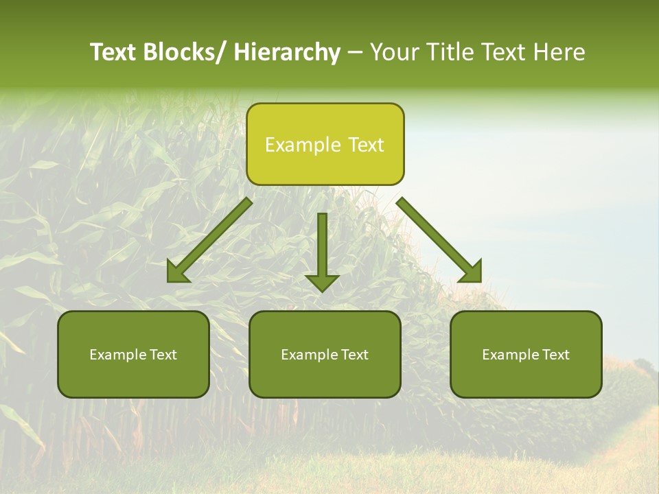 Blue Field White PowerPoint Template