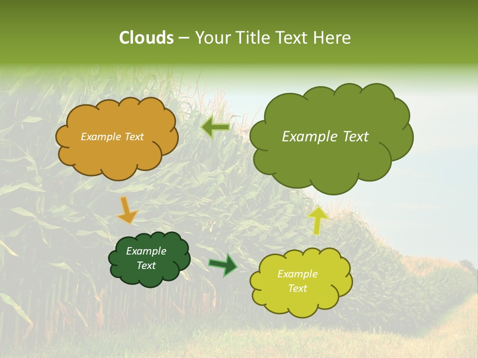 Blue Field White PowerPoint Template