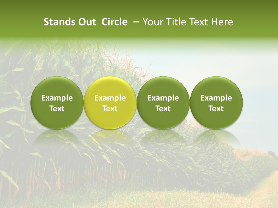 Blue Field White PowerPoint Template