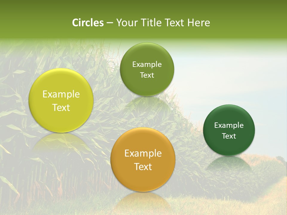 Blue Field White PowerPoint Template