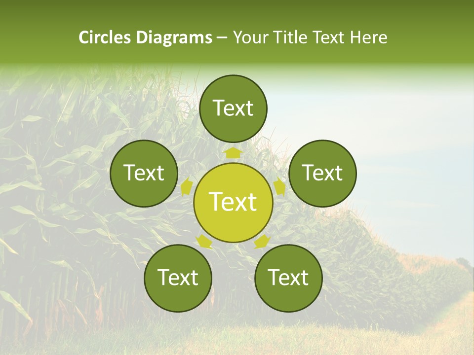 Blue Field White PowerPoint Template