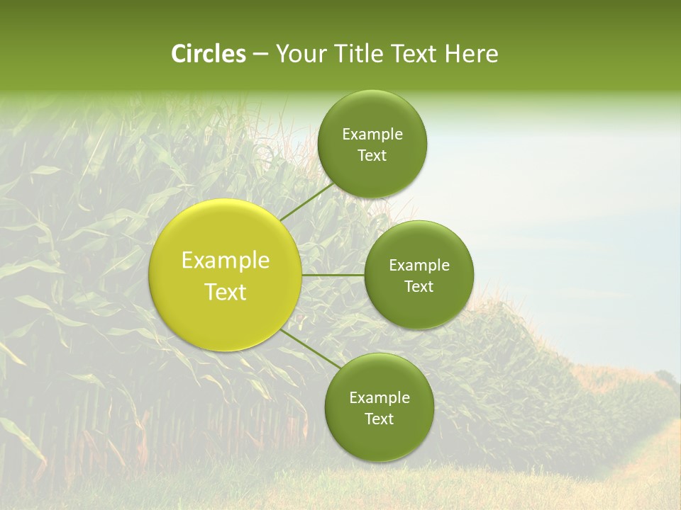 Blue Field White PowerPoint Template