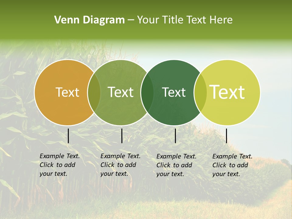 Blue Field White PowerPoint Template