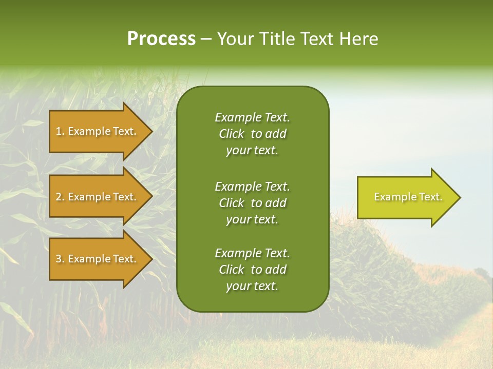 Blue Field White PowerPoint Template