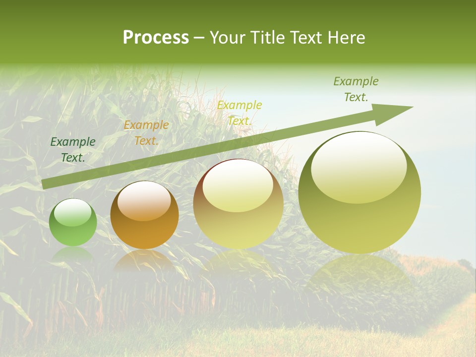 Blue Field White PowerPoint Template