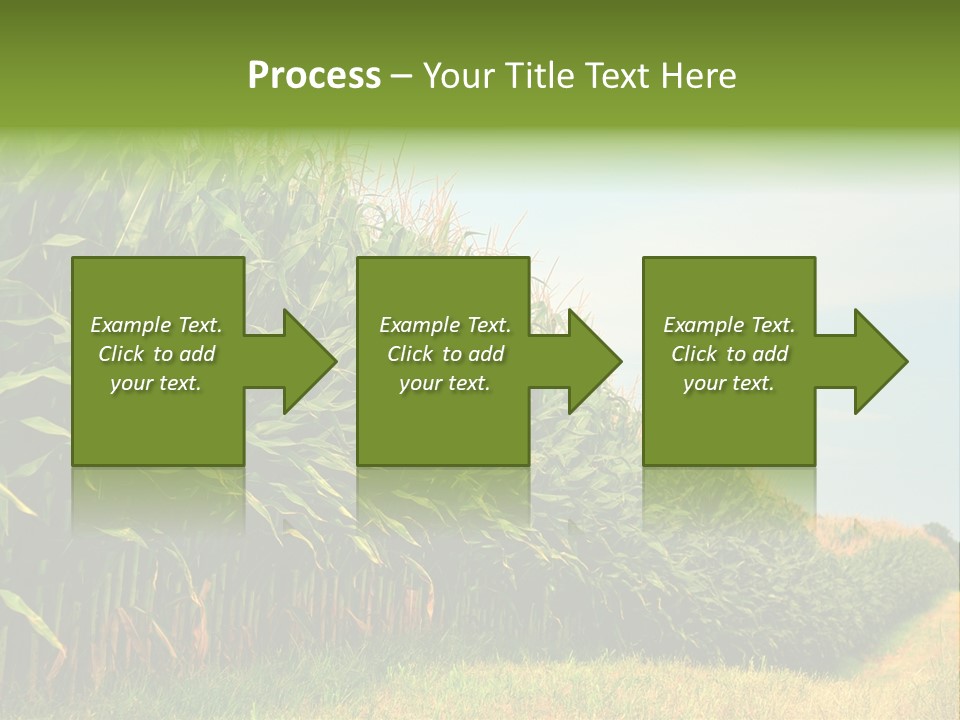 Blue Field White PowerPoint Template