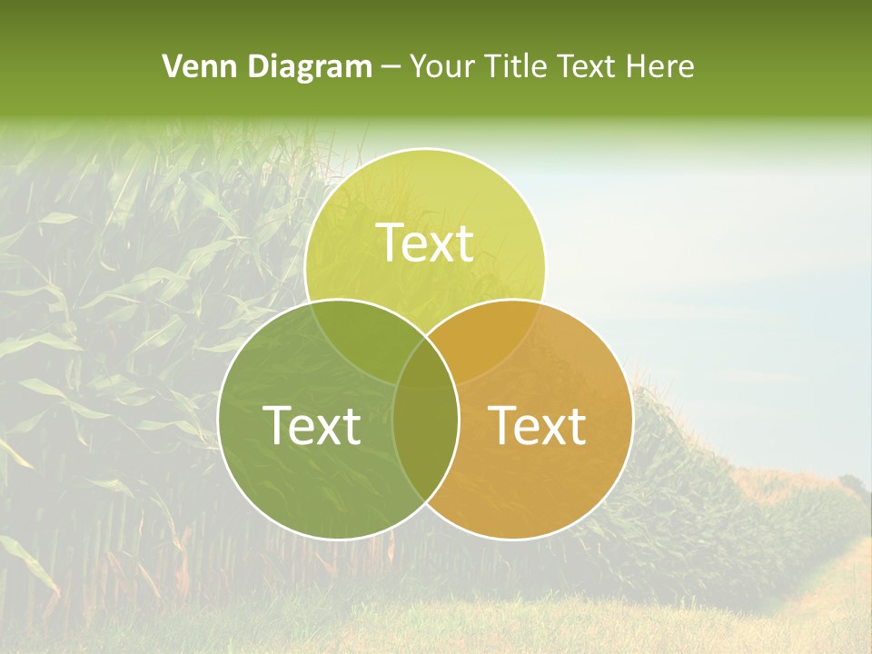 Blue Field White PowerPoint Template