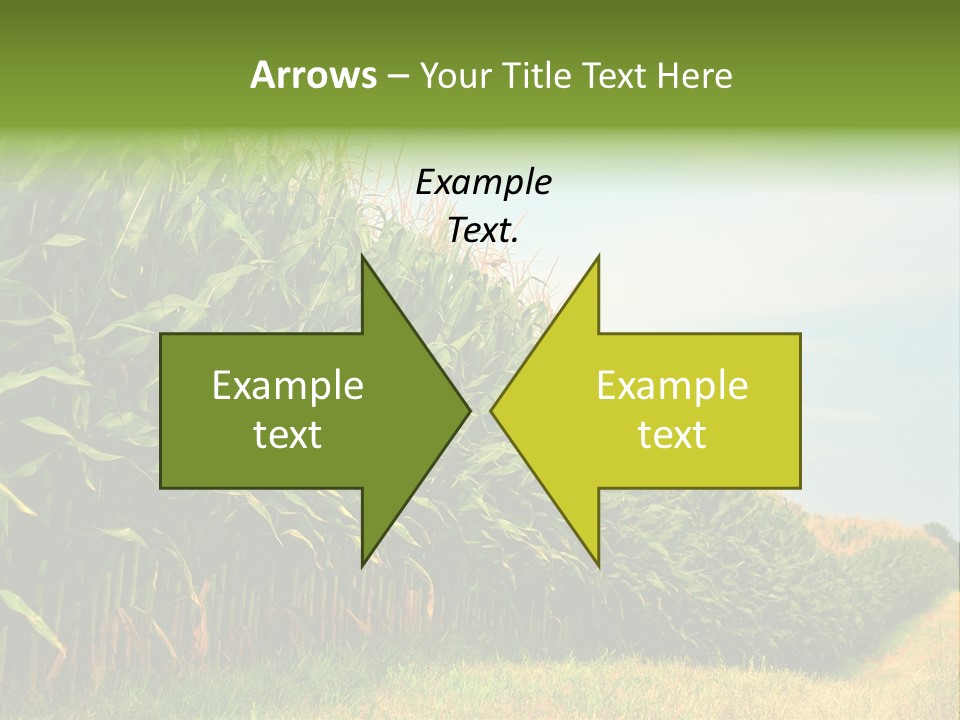 Blue Field White PowerPoint Template