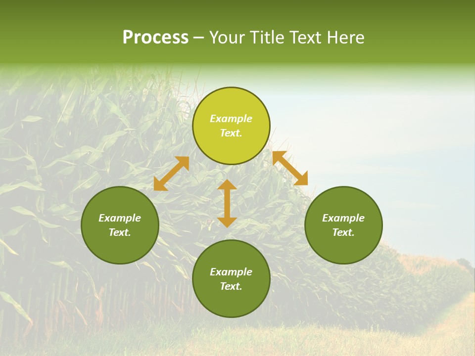 Blue Field White PowerPoint Template