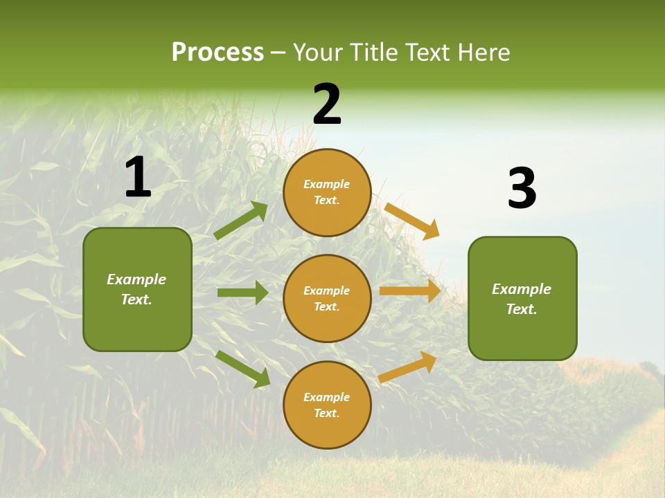 Blue Field White PowerPoint Template